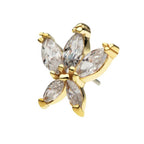 Invictus | 14k gold | 5 Marquise Flower | CZ