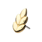 Invictus | 14k gold | Ash Leaf