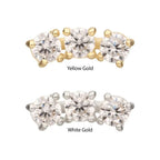 Invictus | 14k gold | Centered Curved Cluster | CZ