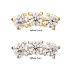Invictus | 14k gold | Centered Curved Cluster | CZ