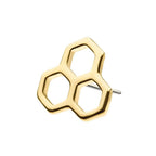 Invictus | 14k gold | Honeycomb