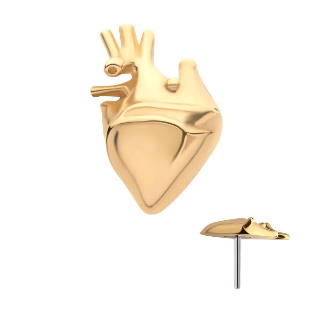 Invictus | 14k gold | Human Heart