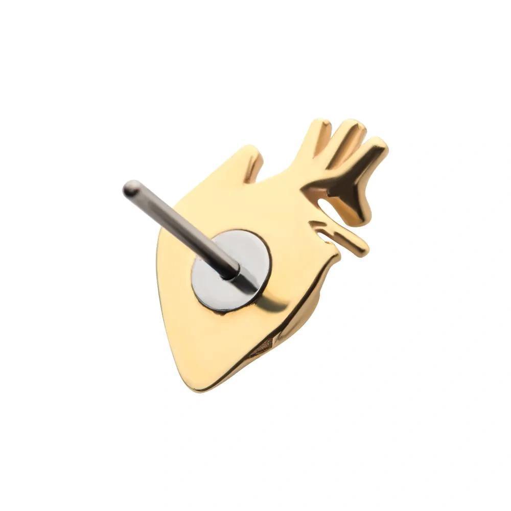 Invictus | 14k gold | Human Heart
