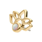 Invictus | 14k gold | Lotus | Synthetic White Opal