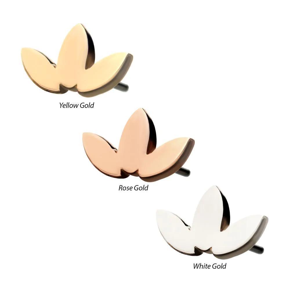 Invictus | 14k gold | Low Profile Leaf