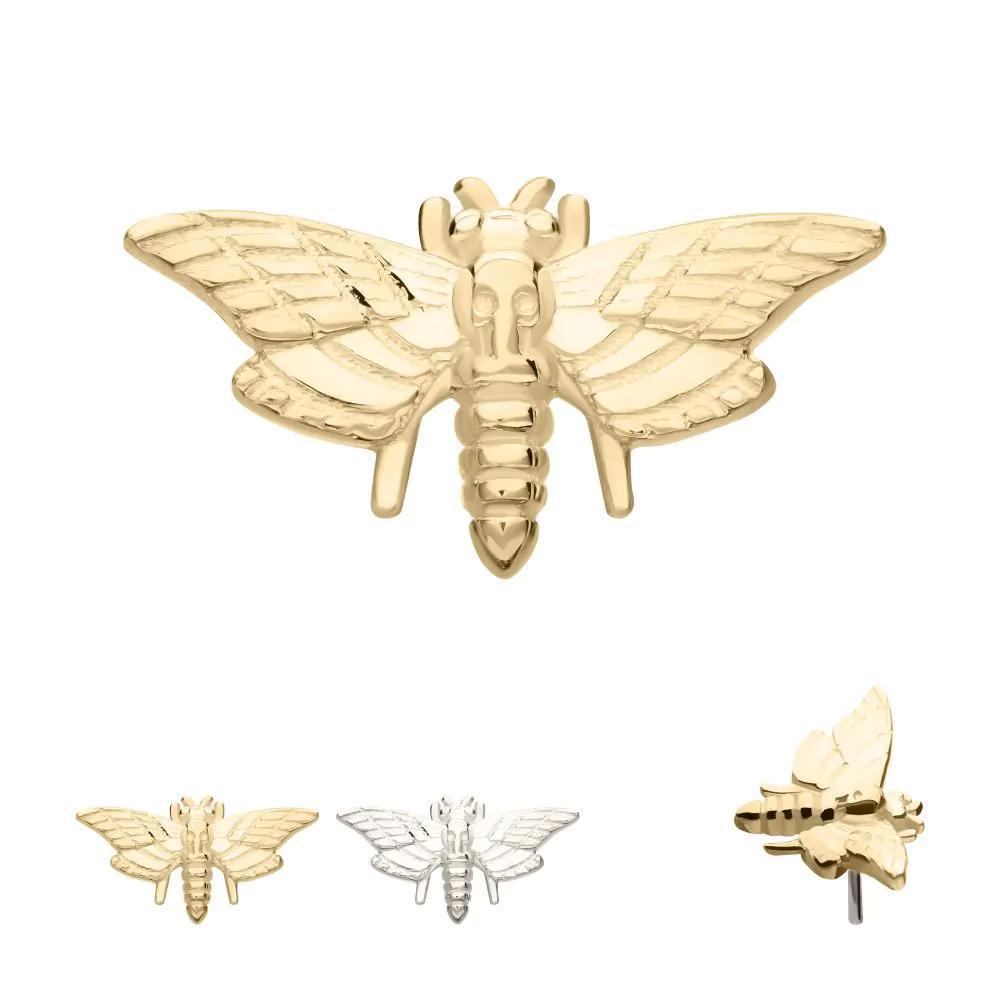 Invictus | 14k gold | Moth
