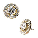 Invictus | 14k gold | Multi Prong Circle | CZ