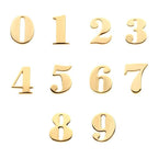 Invictus | 14k gold | Numbers