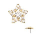 Invictus | 14k gold | Pave Set Cut Out Star | CZ