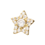 Invictus | 14k gold | Pave Set Cut Out Star | CZ