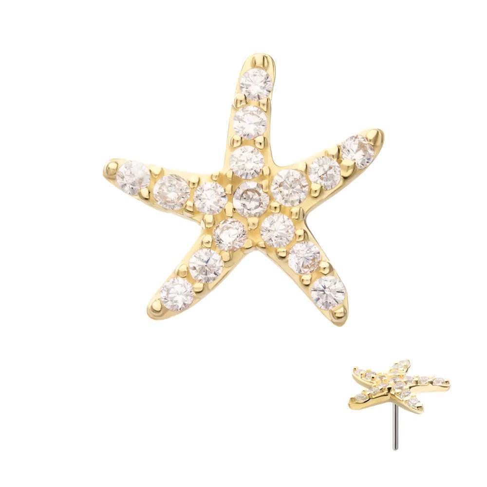 Invictus | 14k gold | Pave Starfish | CZ