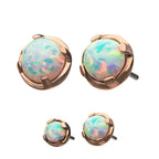 Invictus | 14k gold | Prong Set | synthetic White Opal