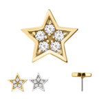 Invictus | 14k gold | Prong Set Star | CZ