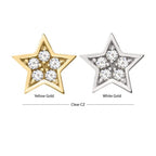 Invictus | 14k gold | Prong Set Star | CZ