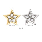 Invictus | 14k gold | Prong Set Star | CZ