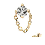 Invictus | 14k gold | Prong Set with Rolo Chain | CZ