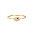 Buddha | 14k gold | RION x Buddha North Star Ring | Blue Sapphire
