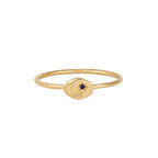 Buddha | 14k gold | RION x Buddha North Star Ring | Blue Sapphire