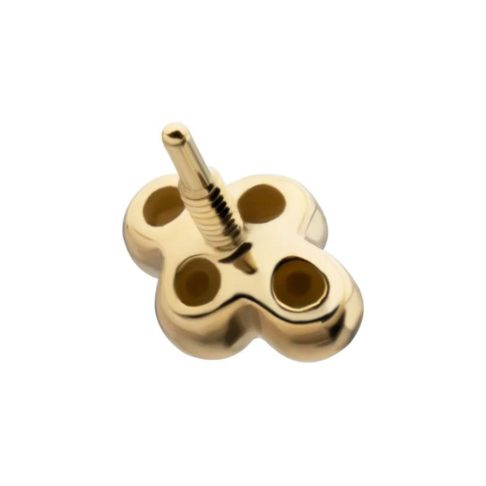 Invictus | 14k gold | 4-Bead Top