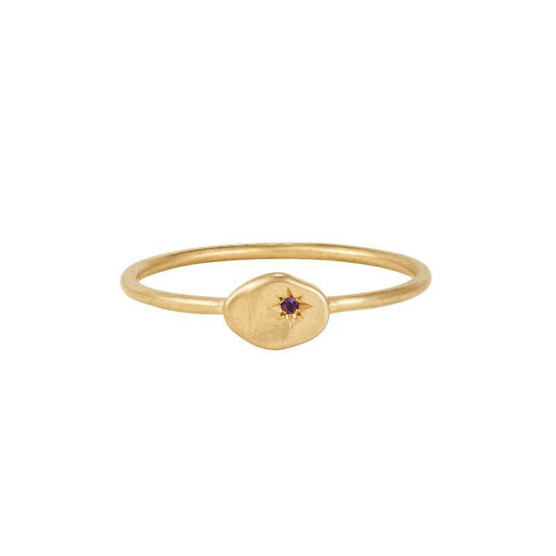 Buddha | 14k gold | RION x Buddha North Star Ring | Amethyst