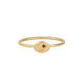Buddha | 14k gold | RION x Buddha North Star Ring | Amethyst
