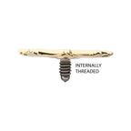 Invictus | 14k gold | 14g Dermal Top | Spiderweb