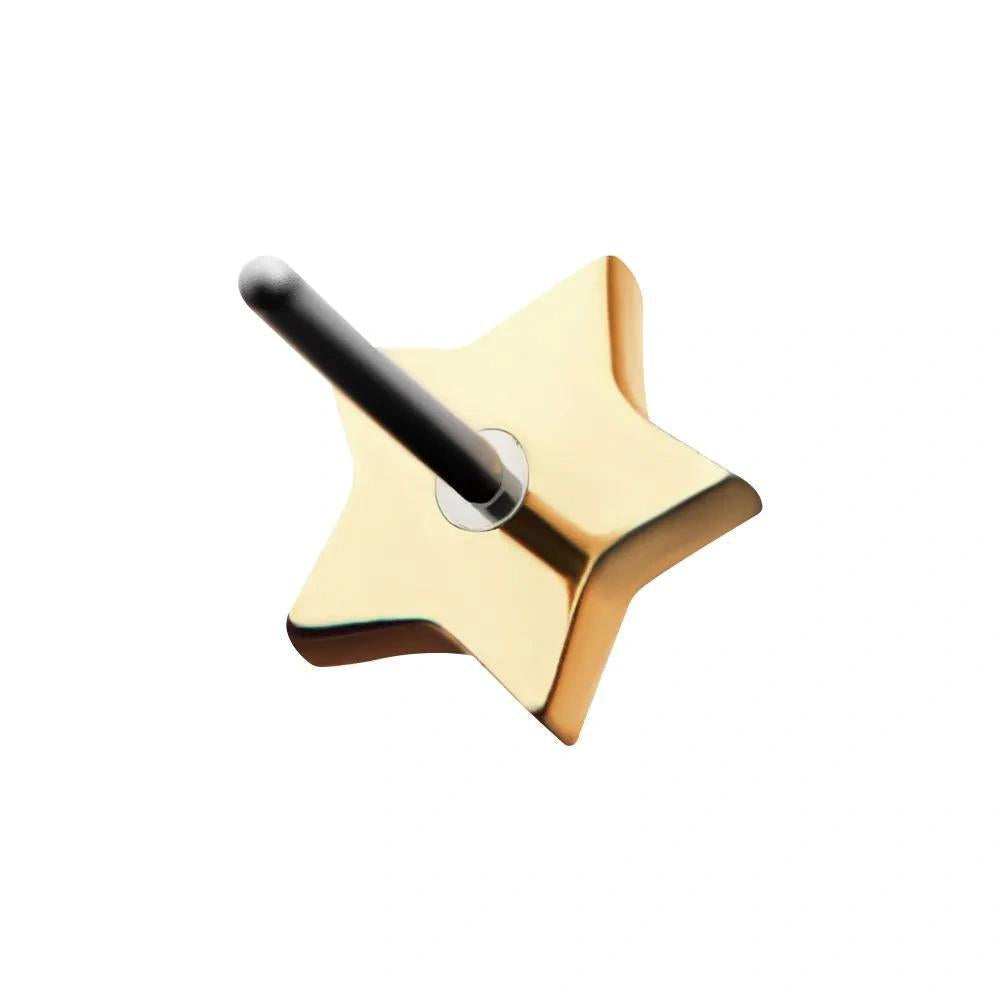 Invictus | 14k gold | Star