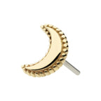 Invictus | 14k gold | Beaded Border Moon