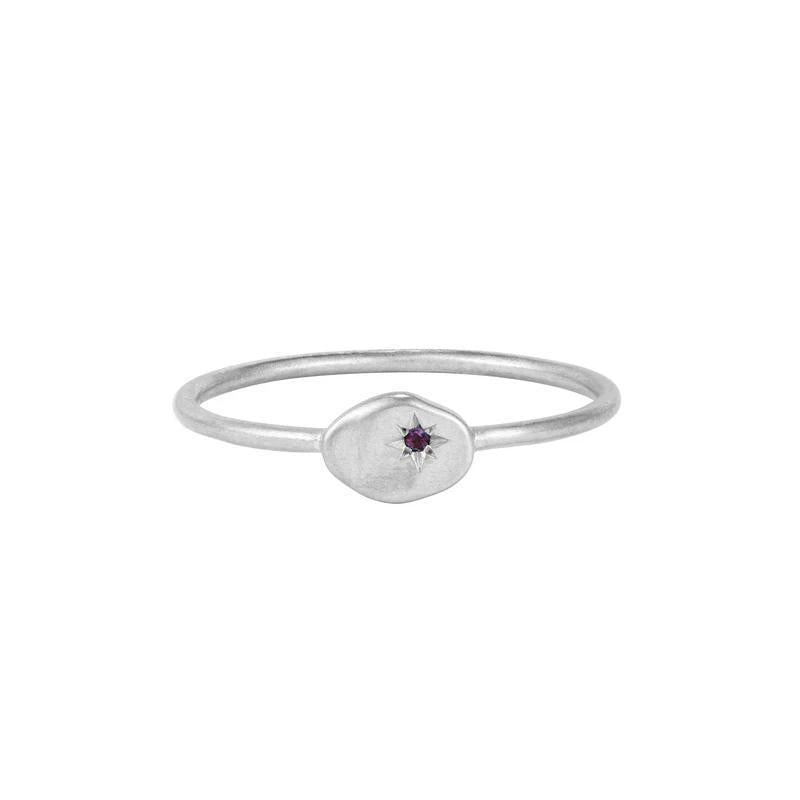 Buddha | 14k gold | RION x Buddha North Star Ring | Amethyst