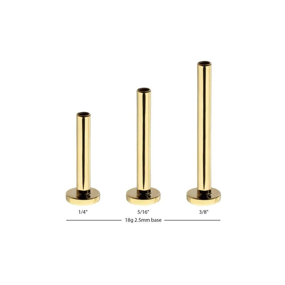 Invictus | 14k gold | Internally Threaded Labret Base