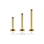 Invictus | 14k gold | Internally Threaded Labret Base