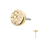 Invictus | 14k gold | Hammered Disk