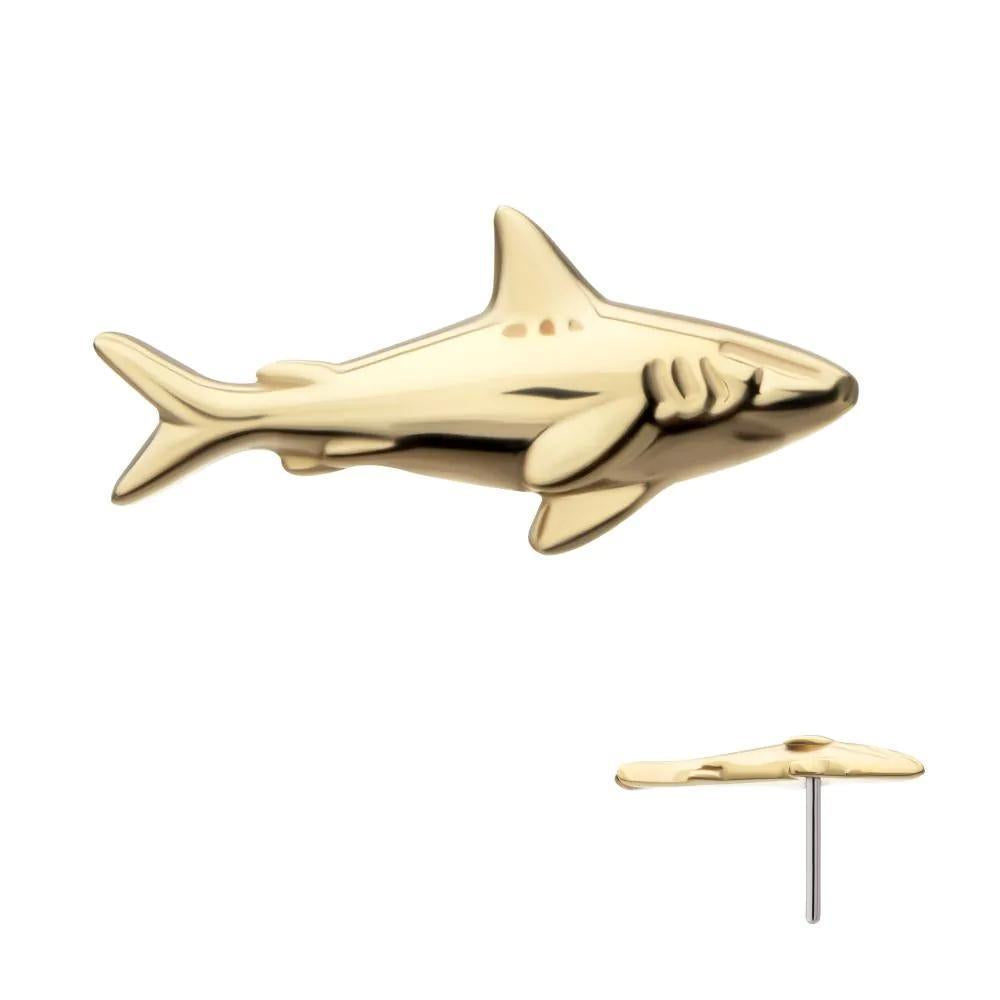 Invictus | 14k gold | 2D Shark