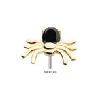 Invictus | 14k gold | Prong Set Spider | Black CZ