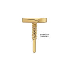 Invictus | 14k gold | 20G Internally Threaded | Heart