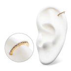 Invictus | 14k gold | Prong Set Eternity | Side Facing Hinged Hoop | Clear CZ