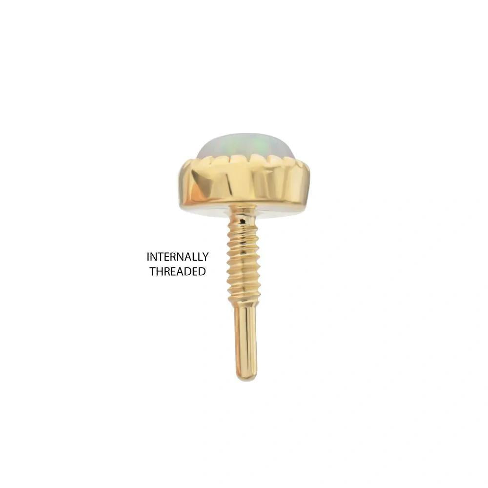 Invictus | 14k gold | Round Milgrain Edge | Synthetic Opal