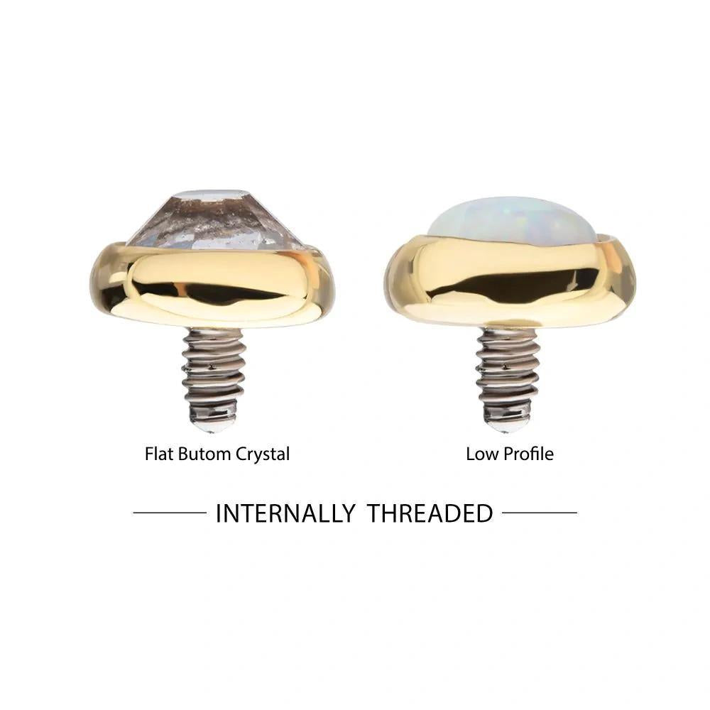 Invictus | 14k gold | 14g Dermal Top | Bezel Set Gem