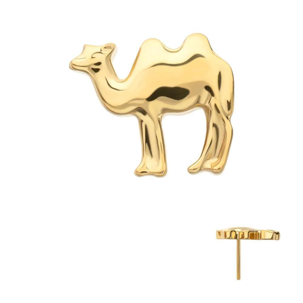 Invictus | 24k Gold PVD Titanium | Threadless Low Profile 3D Camel Top