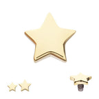 Invictus | 14k gold | 14g Dermal Top | Star