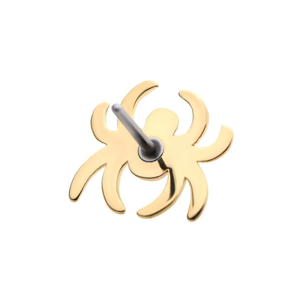 Invictus | 14k gold | Spider