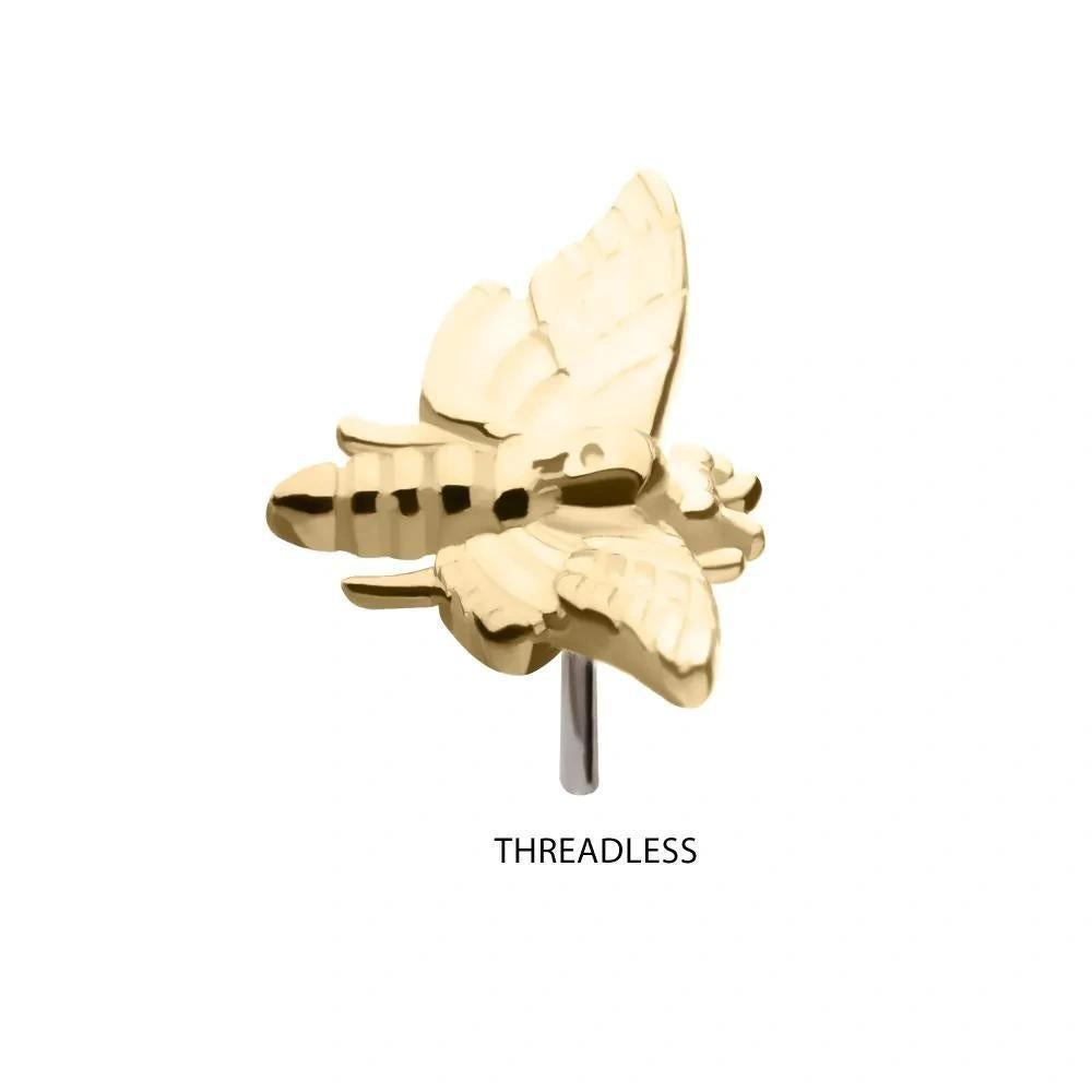 Invictus | 14k gold | Moth