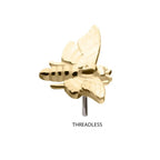 Invictus | 14k gold | Moth