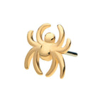 Invictus | 14k gold | Spider
