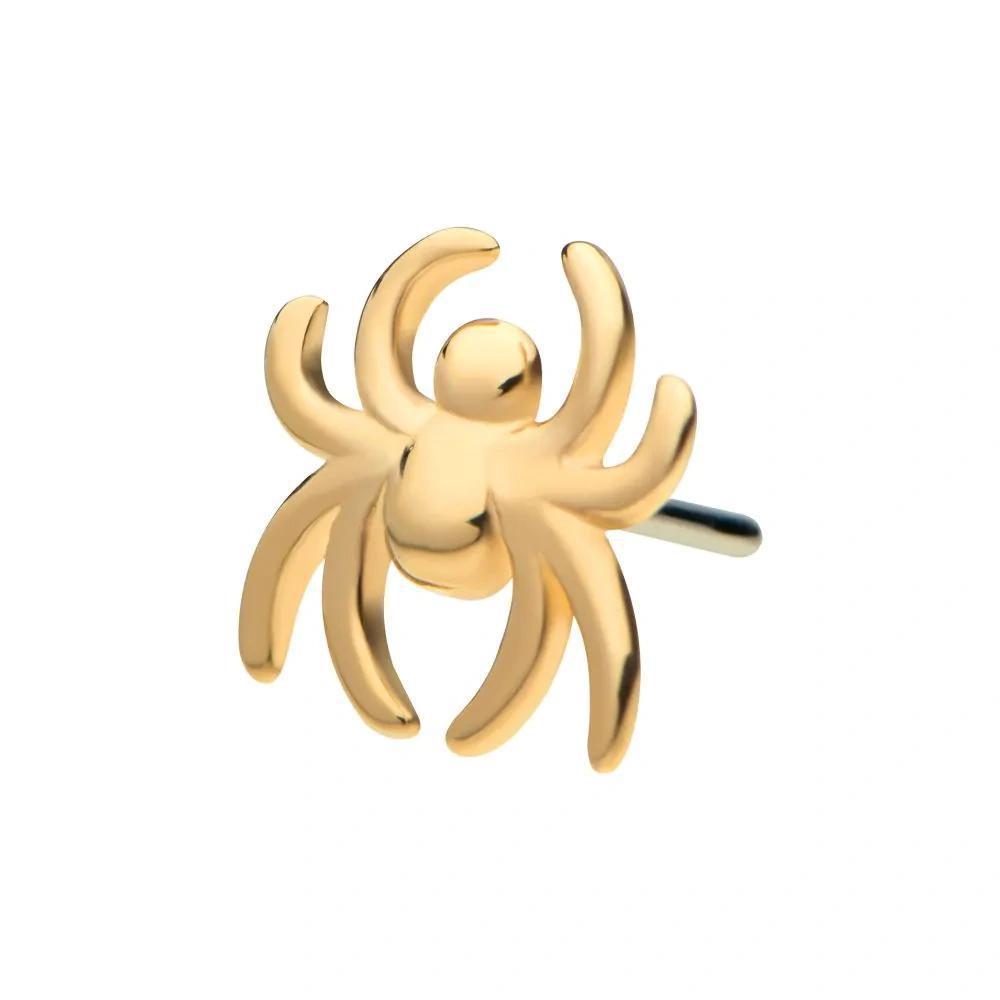 Invictus | 14k gold | Spider