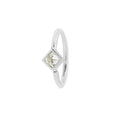 Buddha | 14k gold | Mae Seam Ring | CZ