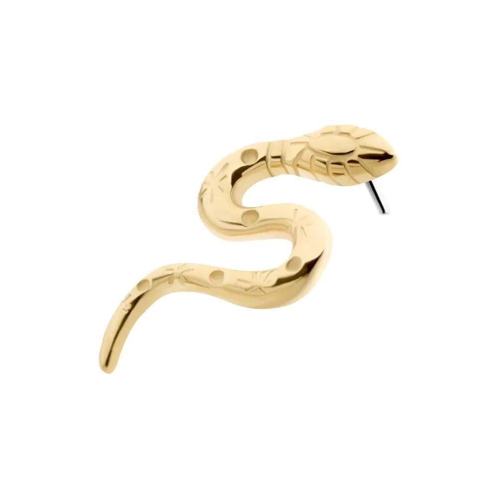 Invictus | 14k gold | Etched Snake