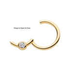 Invictus | 14k gold | Bezel Set CZ | Front Facing Hinged Hoop | Cubic Zirconia